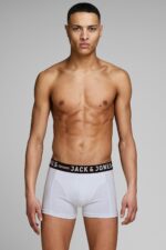 خرید مستقیم از ترکیه و ترندیول باکسر مردانه برند جک اند جونز Jack & Jones با کد TYC00734113402