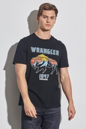 خرید مستقیم و آسان از ترندیول ترکیه تیشرت مردانه برند رانگلر Wrangler با کد W231254